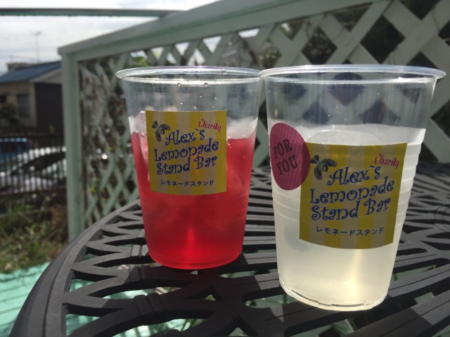 0bd5aa5cd1419fdda2585acfa67a40a0